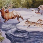 The Origin of Elks